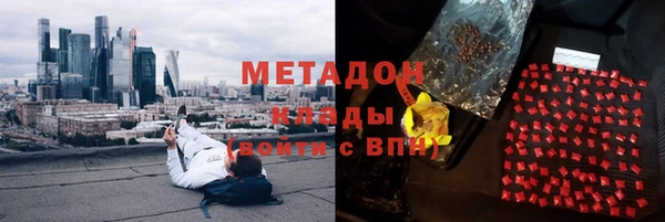 индика Елизово