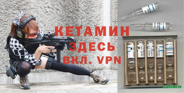 индика Елизово