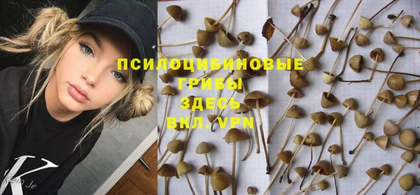 бошки Майский