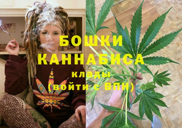 крисы Куйбышев