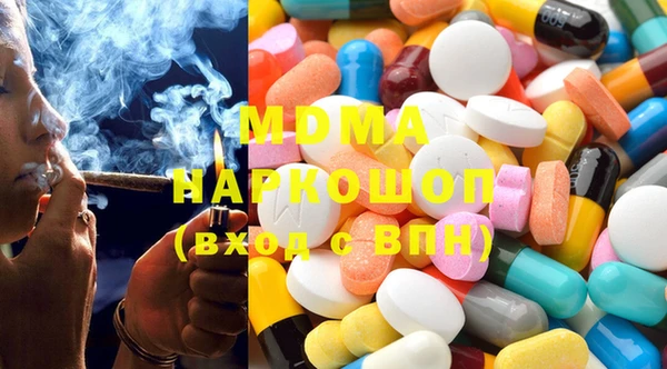 индика Елизово