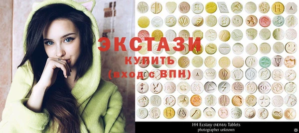 индика Елизово