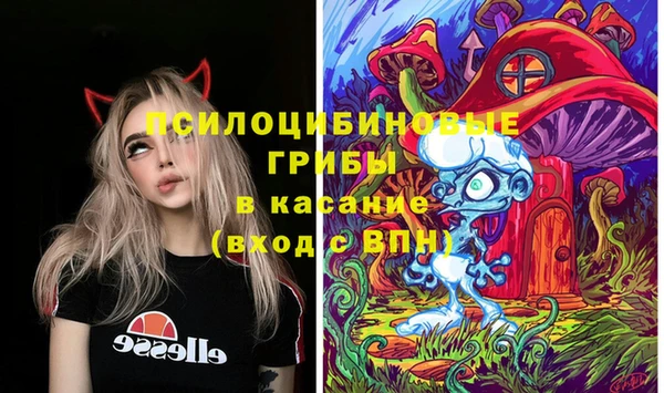ешки Шарыпово
