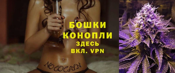 индика Елизово