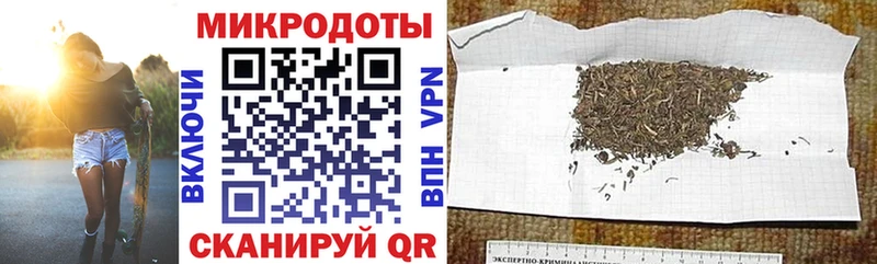 Галлюциногенные грибы Psilocybe  Мантурово 
